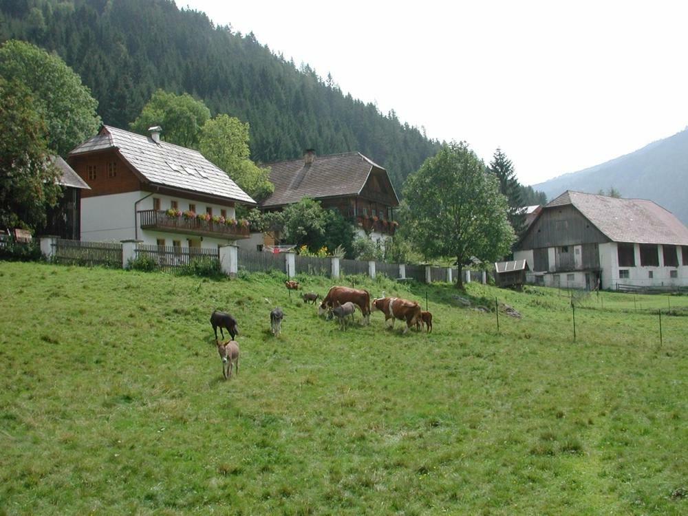 Ferienwohnung Payr Patergassen Exterior photo